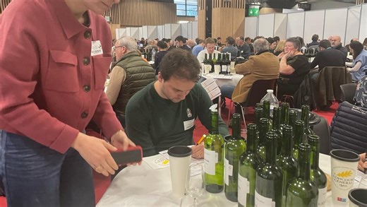 Salon de l’agriculture 2025 : le vin gardois s’illustre au concours général, découvrez les résultats