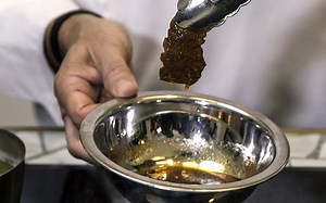 Israeli protein startups flourish in bid to cut meat’s carbon footprint