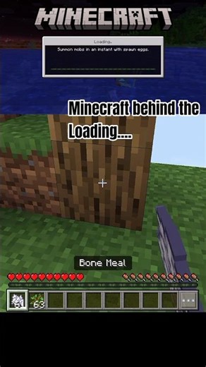 MINECRAFT BEHIND THE LOADING...🌍