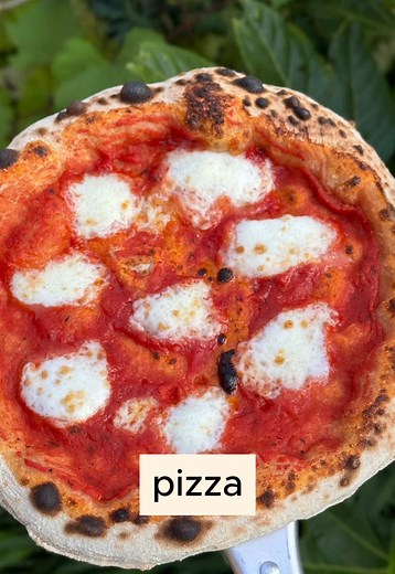Say No to Bad Pizza: Perfect Your Pizza Dough
