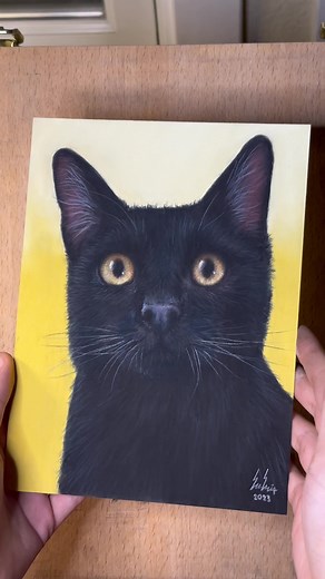My tutorial on this black cat is a great way to learn how to draw eyes, whiskers, and most importantly- black fur! It seems daunting, especially when some black cat photos look like black holes, but if you follow along and copy what I do in the lesson, you’ll see how to make highlights to create shiny, soft, realistic fur with pastel pencils. #arttut #arttutorial #arttimelapse #realism #howtorealism #timelapse #blackcat #cat #catart #catportrait #artlesson #pastelpencils #pastels #softpastel #pa