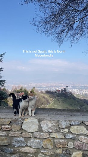 Discover North Macedonia: A Unique Travel Destination