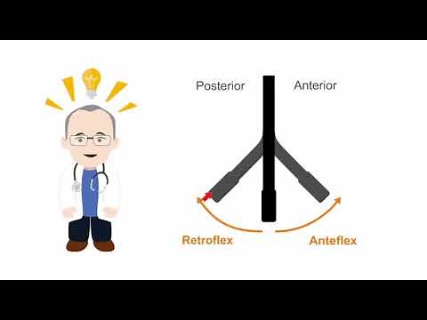 The mid-esophageal four-chamber view in transesophageal echo (TEE) - The nuts and bolts.