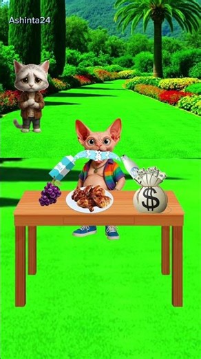 That cute cat needs food, please leave some for him 😥#cutecat #chatvideo