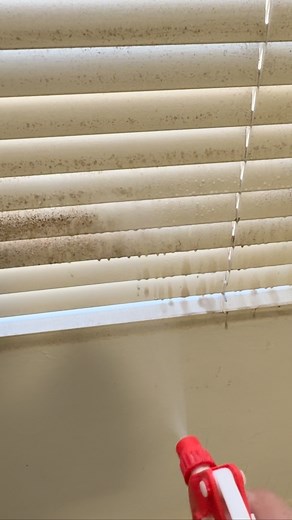How to remove mould from Venetian blinds? | Angelic Cleaning Nsw Pty Ltd