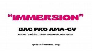 Bac pro Artisanat et Métiers d’Arts (AMA)