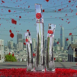 FLOWER BY KENZO EAU DE PARFUM, le pouvoir d’une simple fleur pour rendre le monde plus beau. | KENZO Parfums