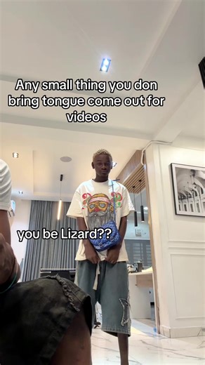 Understanding Lizard Behavior in Videos