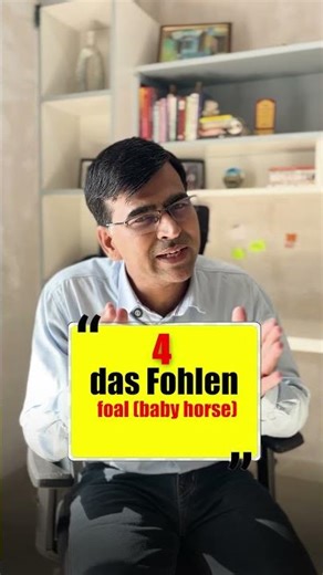 Basic words in German. #deutsch #deutschkurs #german #germanlanguage #germany