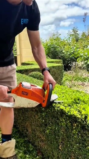 Process of Trimming and Pruning Plant Fences Using Cutting Machines