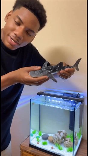 Metiendo una mini tiburón ballena. 🐋 #parativiral #parati #animals #tiburonballena | NovaSonics