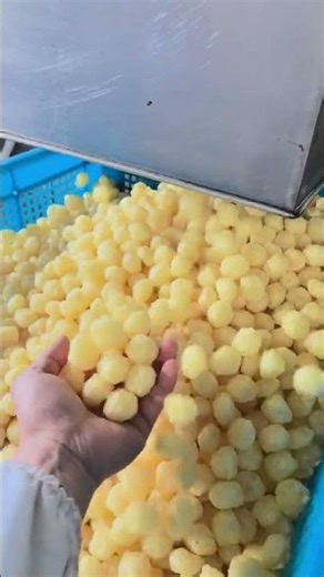 puffed snacks machine double screw extruder #machine