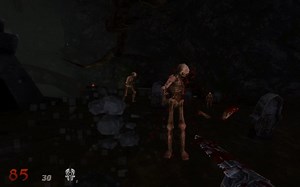 【Linux游戏】怒火：永恒遗迹（WRATH:Aeon of Ruin）