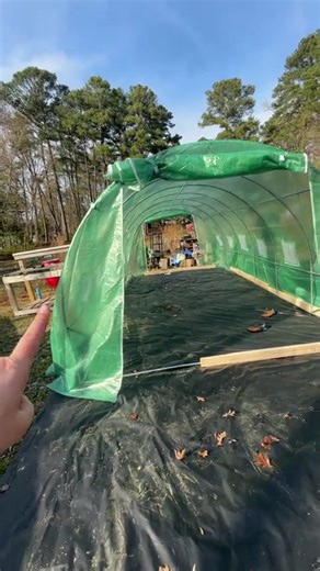 I finally got a new greenhouse and it’s so much bigger than my last one! #gardentok #gardening #homesteading #greenhouse #gardenproject