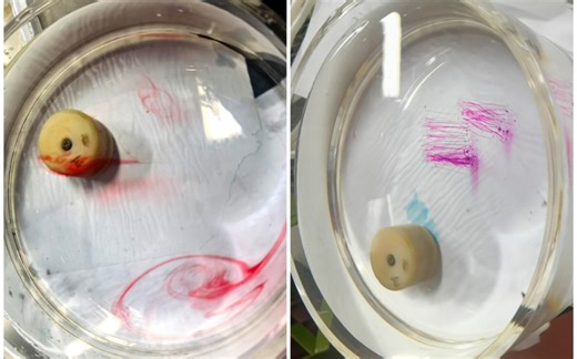 流体力学实验——泰勒柱实验