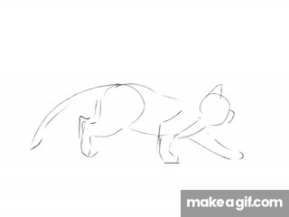 Cat-run on Make a GIF