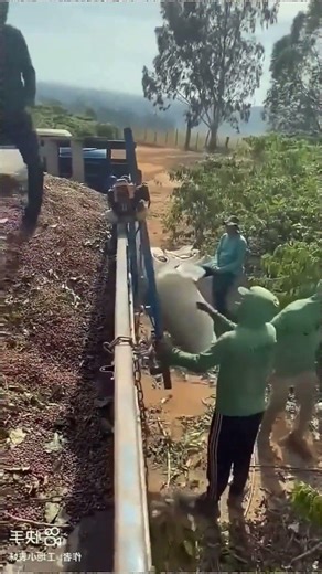 Top Learning Tools for Tech 🔥 Enthusiasts | Smart Gadgets & Creative Learning #shorts #viralshorts🔥🙏