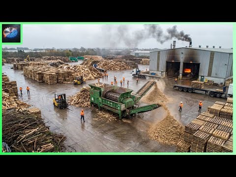 Inside the Factory: How Composite Decking Is Made From Waste Wood and Plastic