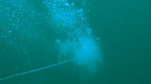 1K views · 20 reactions | This underwater footage offers a new...