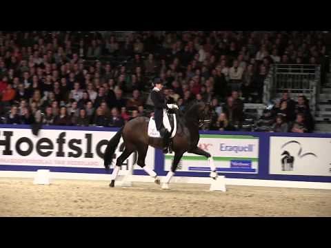 Apache KWPN (UB40 - Krack C)