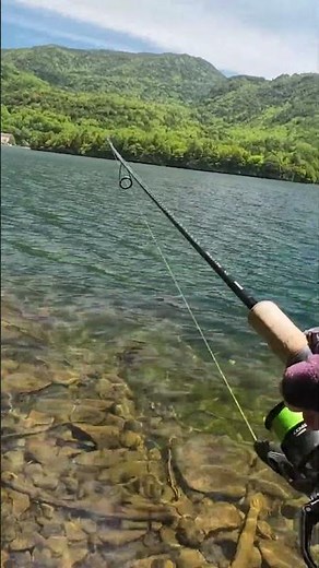 水面爆発！！セミルアー！#湯ノ湖 #トラウト #ホンマス #ニジマス #セミ#釣り#fishing