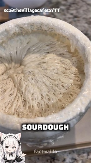 Why Making Sourdough Is So Difficult 🍞⏳