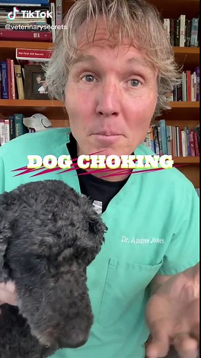 How to do HEIMLICH in a Dog for Choking #dog #firstaid #choking #dogemergency911