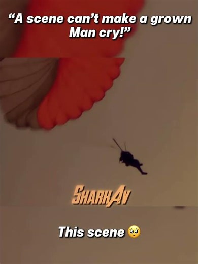 This scene 🥹 - goose’s fall 😢 | #aviation #plane #avgeeks #peakaviation