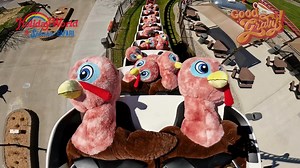 The turkeys are back to wish you a Happy Thanksgiving! 🦃 #HappyThanksgiving #Thanksgiving #GoodGravy #Turkey #Gravy #HolidayWorld #RollerCoaster | Holiday World & Splashin' Safari