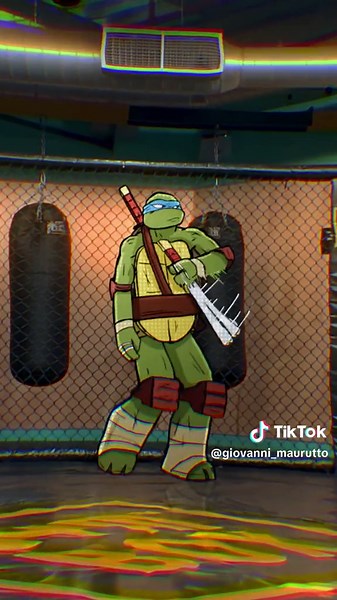 TMNT Animated Theme