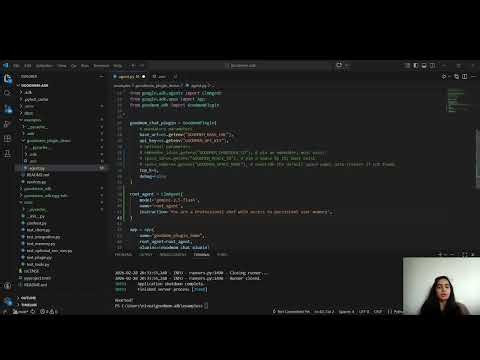 Long Term Recall: Memory Plugins 🧠