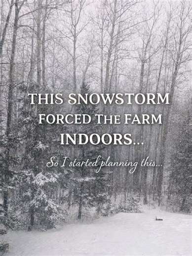 Heavy snow falling outside today. The chickens are tucked in. The pigs are staying close to shelter. And every human on this farm suddenly remembers… indoor projects exist. So today’s job? Garden planning. Because out here in Alberta, if you wait for spring to think about the garden… you’re already behind. Snow outside. Seeds on the mind. Tell me one thing you're planting this year in your garden 🌱👇 #gardenplanning #homesteadwinter #canadianfarm #snowdayprojects #littlefootfarm