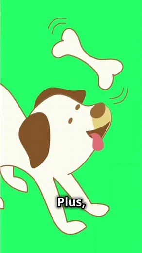 The Secret To Why Dogs Adore Bones