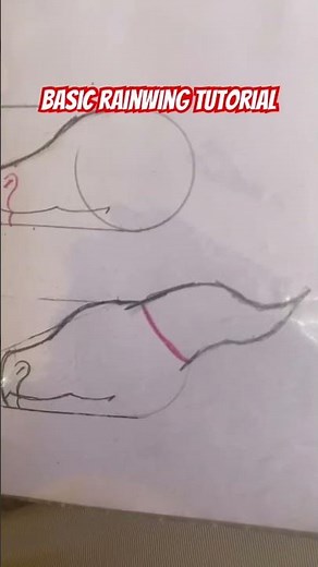 Basic RainWing tutorial #wingsoffire #drawingtutorial #drawing ‪@CurlewTheIceWing‬