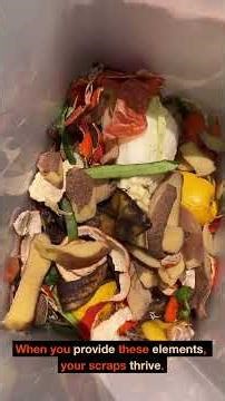 This Is Why You Should Never Throw Away Vegetable Scraps #gardening #hack