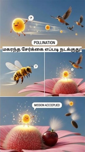 “தேனீ, காற்று, பறவை – மகரந்தச் சேர்க்கை எப்படி நடக்குது? | #tamilanimation