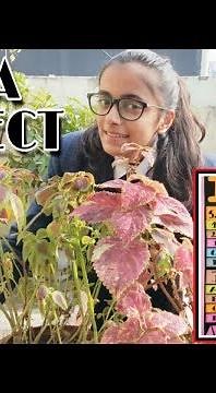 Sewa Project CBSE / Class 9 Sewa Project / Coleus Plant Care / Save Water by Palak Mahajan | JMV |