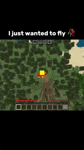 I just wanted to fly 🥀