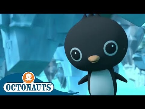 Octonauts - Peso Meets Some Familiar Faces | Cartoons for Kids