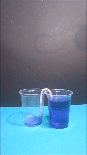 Capillary Action Experiment At Home #experiment #science #shortsreels | Learning Guidance