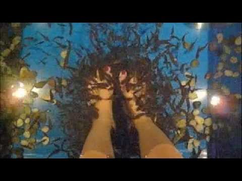 Fish Spa (Feet)