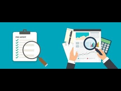 Project Management Audit