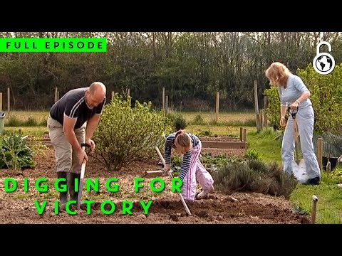 Digging For Victory: Cardiff Full Episode