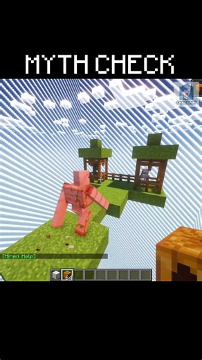 Does an Iron Golem Choose Targets? 🤔 Minecraft Myth #shorts