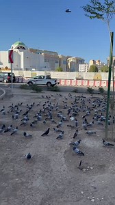 🥀❤️🥀❤️🥀 | Abdul Rasheed