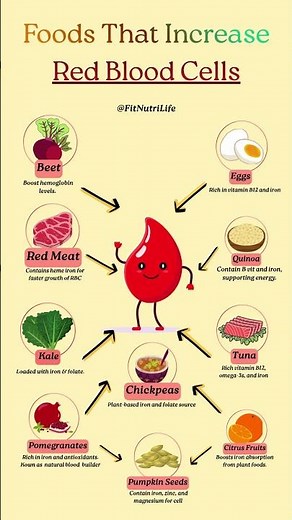 Foods That Increase Red Blood Cells | Natural Ways to Boost Iron & Energy #redbloodcells
