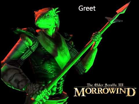 Morrowind Female Argonian Responses