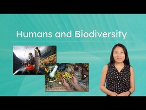 Humans and Biodiversity - How People Affect Wildlife