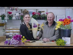 Interflora Australia | Celebrating 70 Years