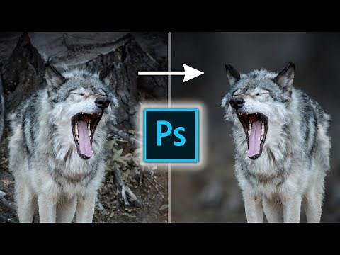 FLOUTER L'ARRIÈRE-PLAN : Comment mettre le fond flou dans Photoshop